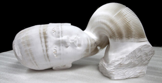 Illustration for article titled These freaky flexible sculptures are easily the weirdest thing you'll see today